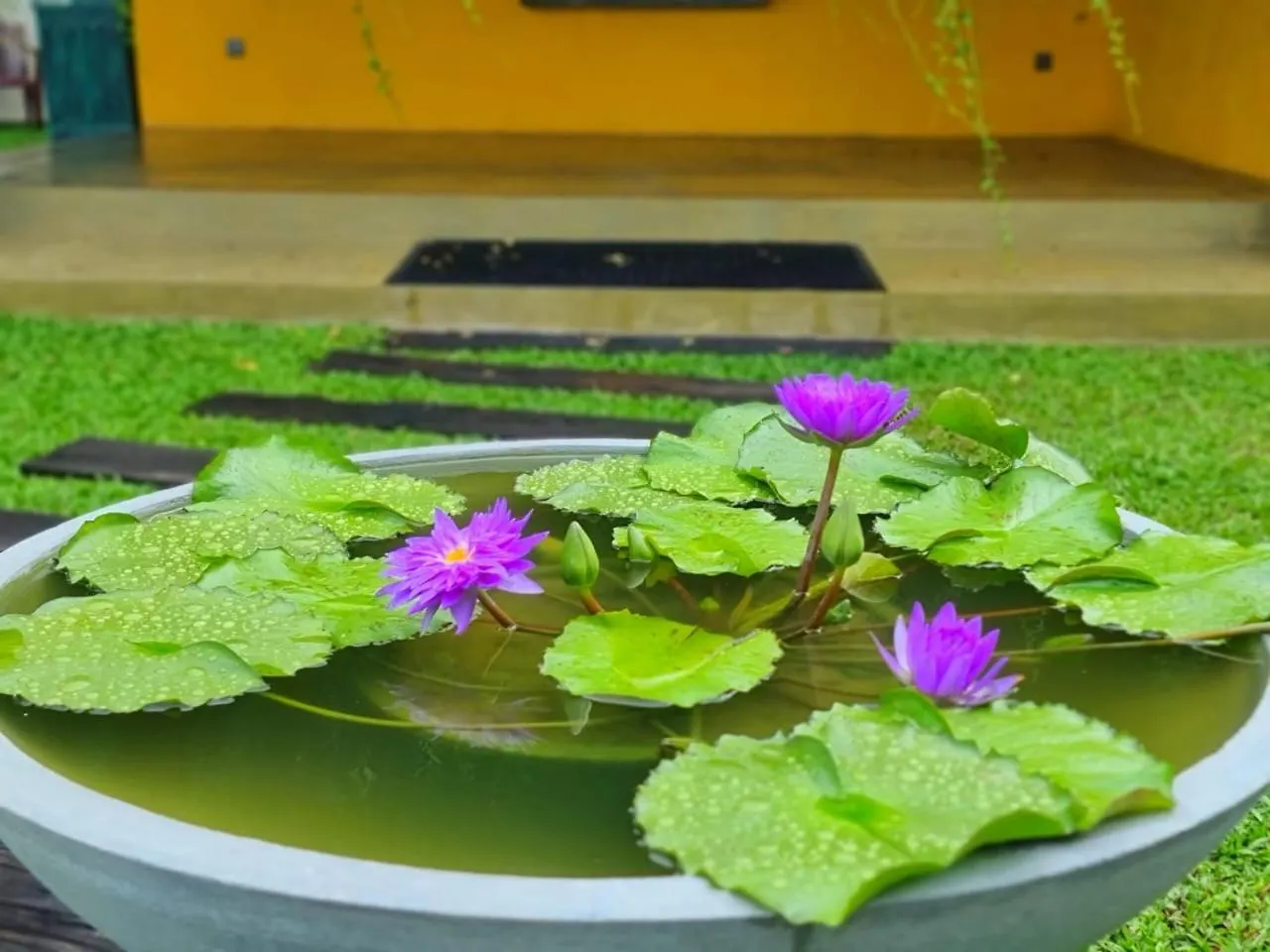 Guest house Villa 363 Negombo
